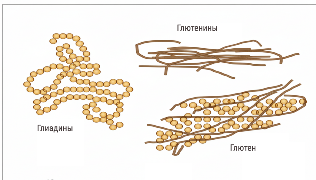 Безглютеновая диета и инсульт Безглютеновая диета и инсульт