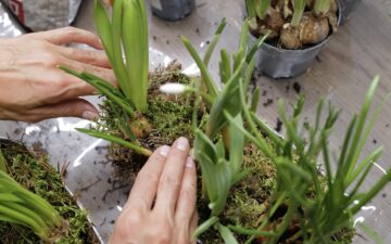 Мастер-класс по флористике в пользу фонда ОРБИ в арт-пространстве BLAR Мастер-класс по флористике в пользу фонда ОРБИ в арт-пространстве BLAR