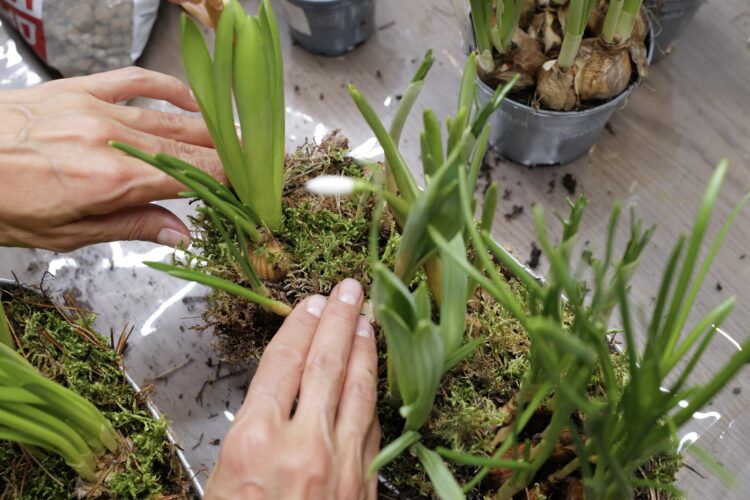 Мастер-класс по флористике в пользу фонда ОРБИ в арт-пространстве BLAR