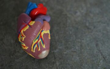 Robina Weermeijer / Unsplash.com